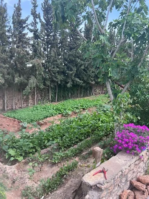 Villa Hammouchi エッサウィラ